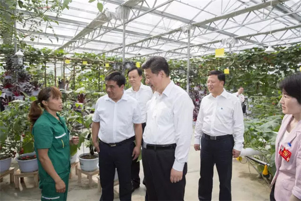 2015年，習總書記到過哪些地方？