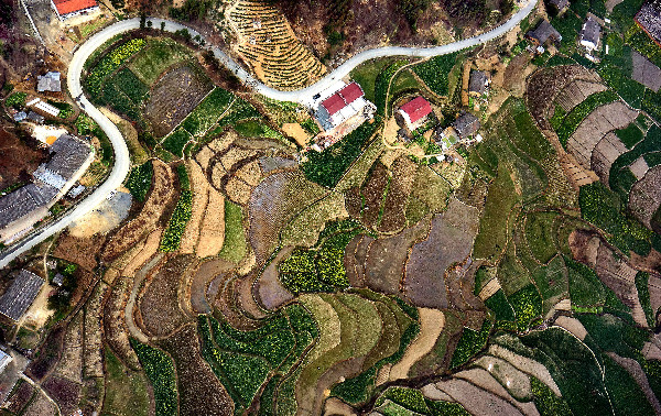 習(xí)近平治國有“數(shù)”