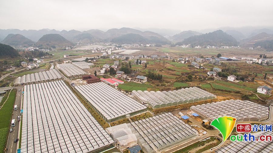 看花茂脫貧，習(xí)大大為何在這里找到了鄉(xiāng)愁