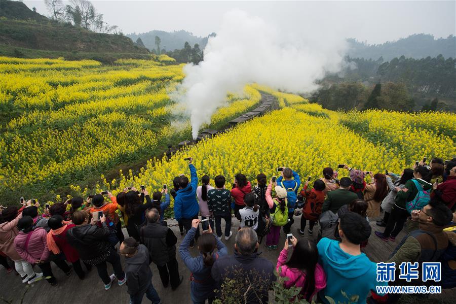 2016：經濟發展“中國策”