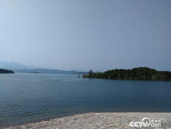 向退役軍人致敬！褪下戎裝，他們還是那個兵！