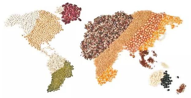 G20峰會前瞻 | 2050年全球人口新增20億，吃飯問題怎么辦？