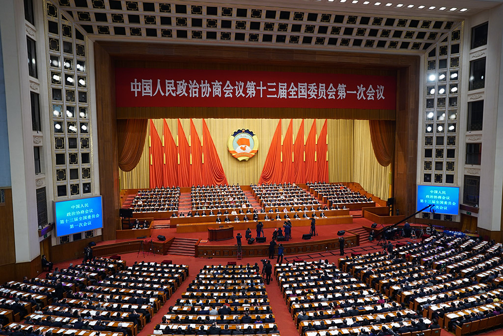 全國政協(xié)十三屆一次會議第二次全體會議