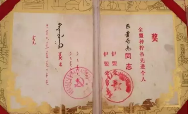 沙漠變綠洲不是夢(mèng)—巴音其勞