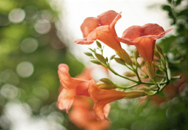 鋒尚mini:千元機(jī)中的顏值擔(dān)當(dāng)