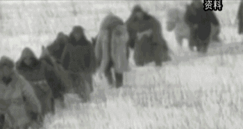 英國小哥到河北塞罕壩避暑，竟意外收獲了一個美麗的故事丨好運中國