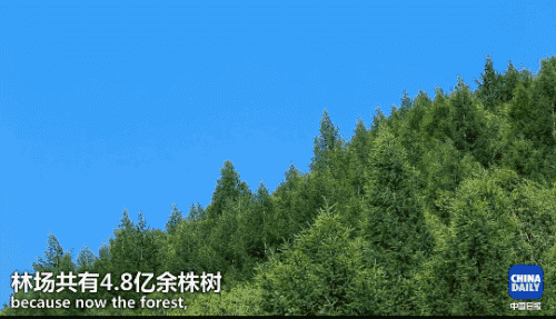 英國小哥到河北塞罕壩避暑，竟意外收獲了一個美麗的故事丨好運中國