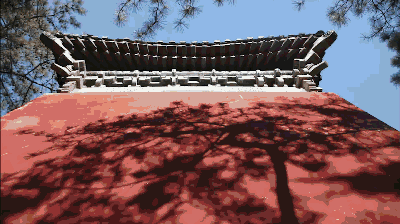 獨家視頻|這五年：英國小妹從北京到雄安，發現果然1+1+1>3！