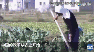 從斯坦福高材生到中美關系專家，他見證中國巨變，感觸最深的是……丨40年40人