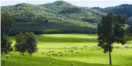 【地產華表獎名人寄語】美林地產總裁戴濱