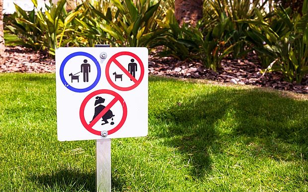 遛狗不清理便便？西班牙DNA驗(yàn)狗糞追責(zé)