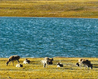 青海“十三五”建議：走綠色循環低碳發展之路 構筑生態安全屏障