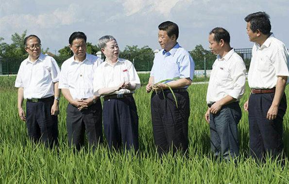 習近平的“三農夢”