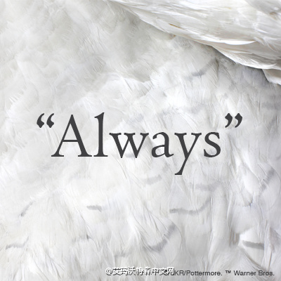 《哈利波特》斯內普去世 主創發文悼念