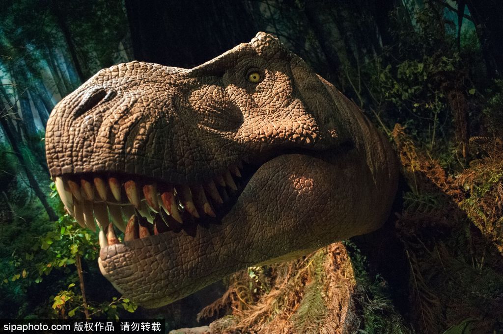 英國(guó)恐龍展超逼真 彷佛回到侏羅紀(jì)