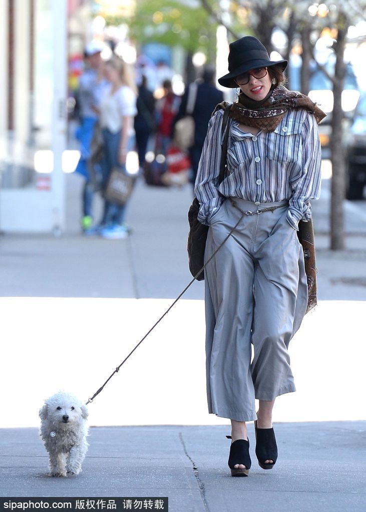 盤點(diǎn)：“星級(jí)”鏟屎官與汪星人的溫馨日常