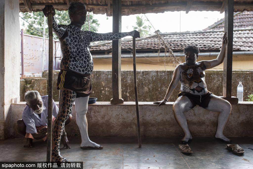 印度傳統虎舞的臺前幕后 表演者用顏料涂滿全身化身“猛虎”