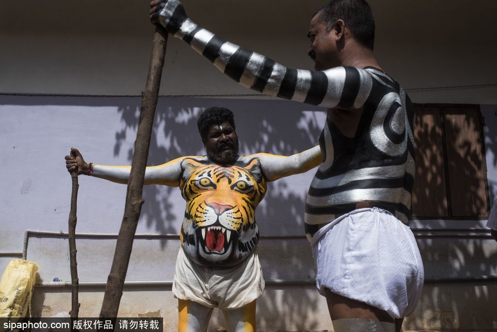 印度傳統虎舞的臺前幕后 表演者用顏料涂滿全身化身“猛虎”
