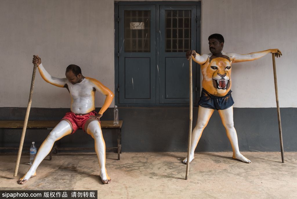 印度傳統虎舞的臺前幕后 表演者用顏料涂滿全身化身“猛虎”