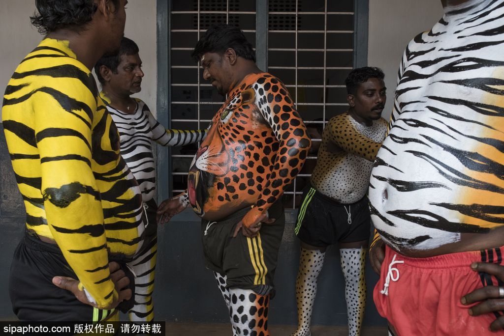 印度傳統虎舞的臺前幕后 表演者用顏料涂滿全身化身“猛虎”