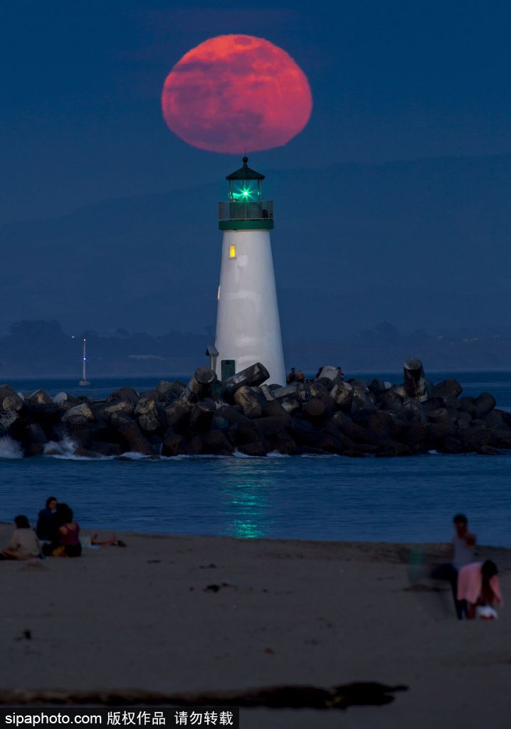 一切都與大海有關 沖浪攝影師獨特視角展示海洋魅力