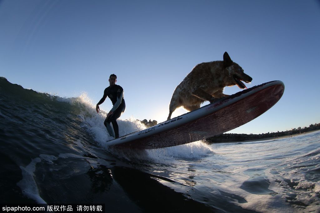 一切都與大海有關(guān) 沖浪攝影師獨(dú)特視角展示海洋魅力