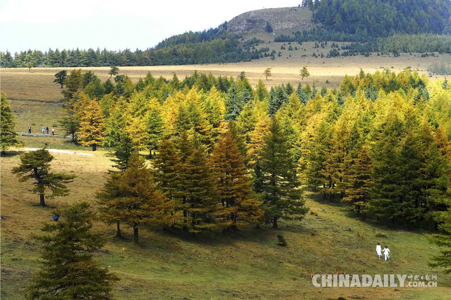 山西寧武蘆芽山景區黃金周迎大雪 系今年首場