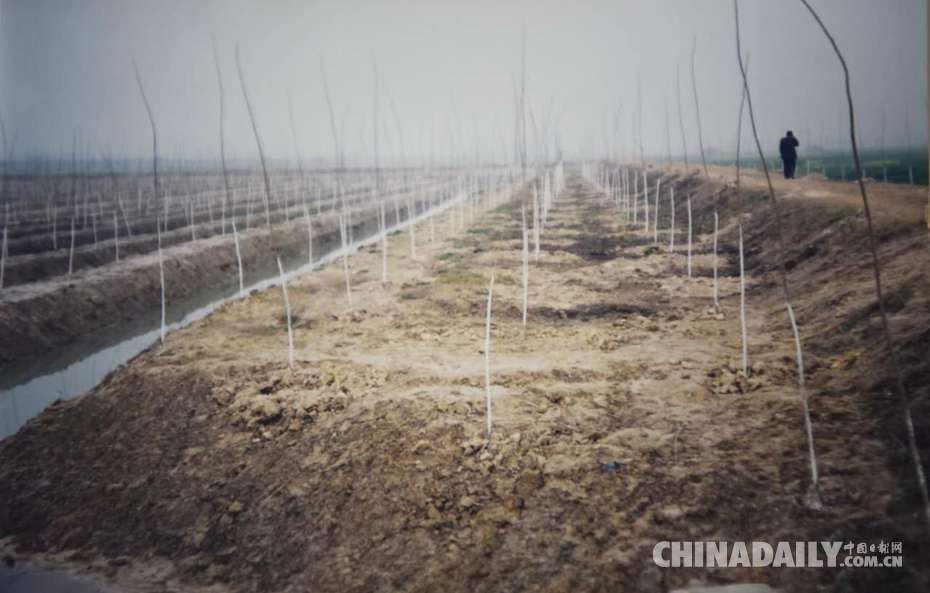 退耕還林還出國家級森林公園（組圖）