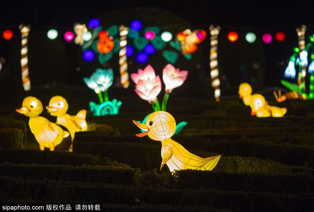 英國超大規模中國巨型燈籠會 豐富動物造型燈飾亮相