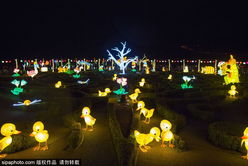 英國超大規模中國巨型燈籠會 豐富動物造型燈飾亮相