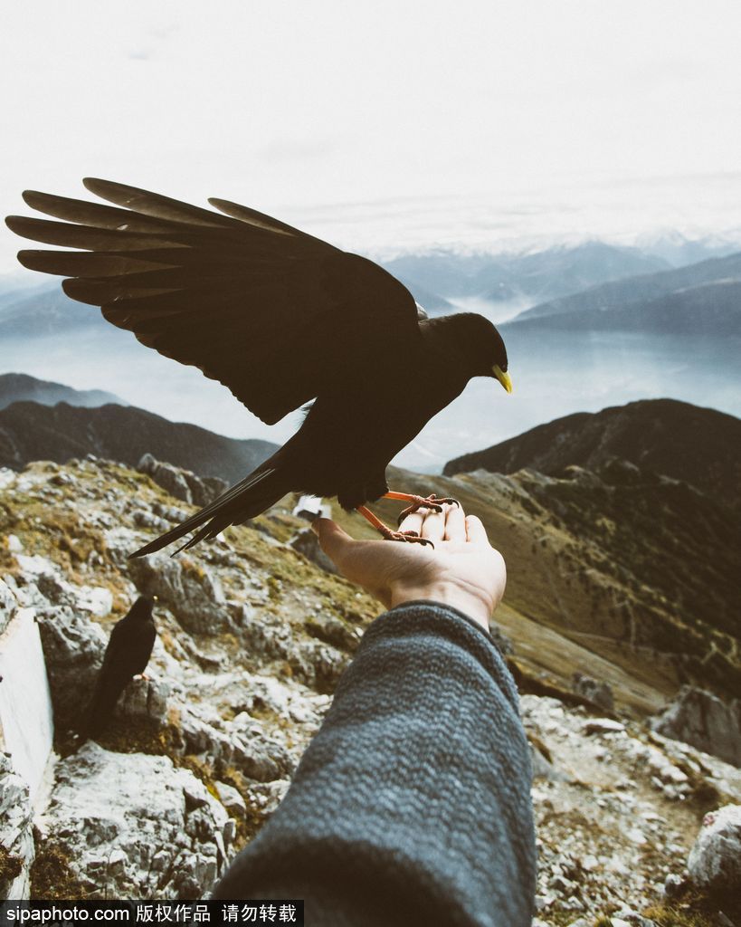 一覽眾山小 鳥瞰視角欣賞歐洲群山震撼風光