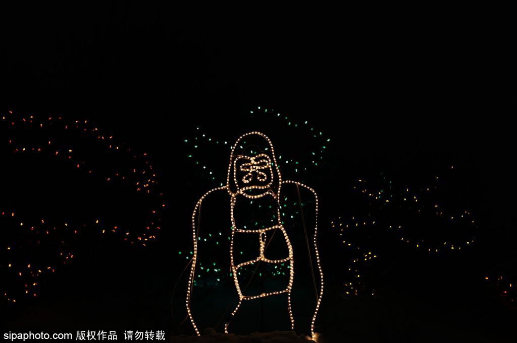 加拿大：卡爾加里公園亮起上萬彩燈迎接圣誕節 造型各異趣味十足