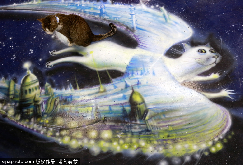 探訪歐洲最大的貓咖啡館——俄羅斯圣彼得堡貓咪共和國咖啡廳