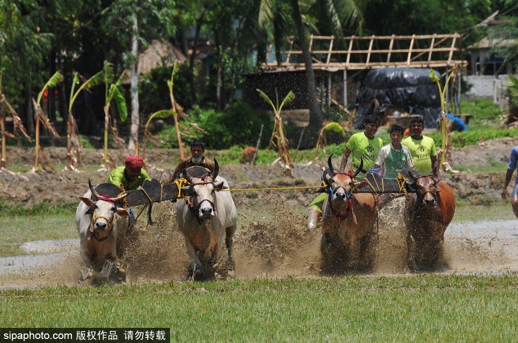 腦洞大過天！盤點全球各類奇葩比賽