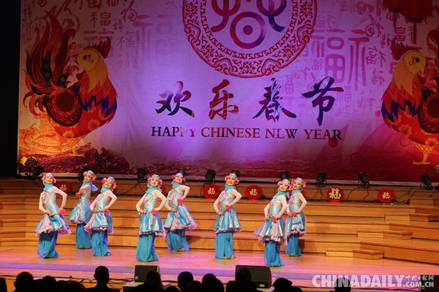 “寧夏風情-中國年味”走進歐盟