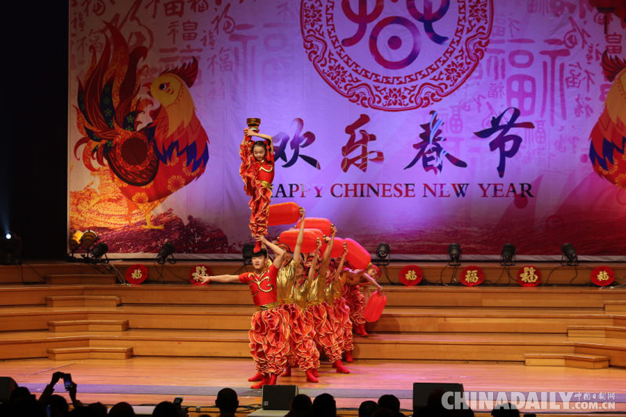 “寧夏風情-中國年味”走進歐盟