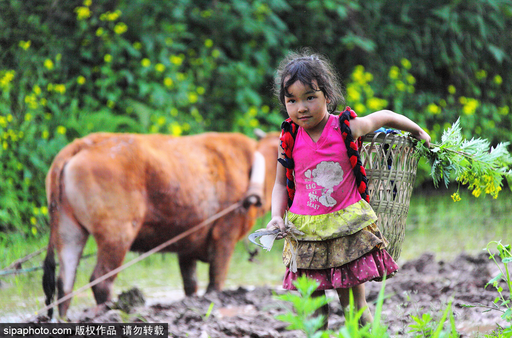 春回大地草木萌動 盤點那些農田光景返樸歸真