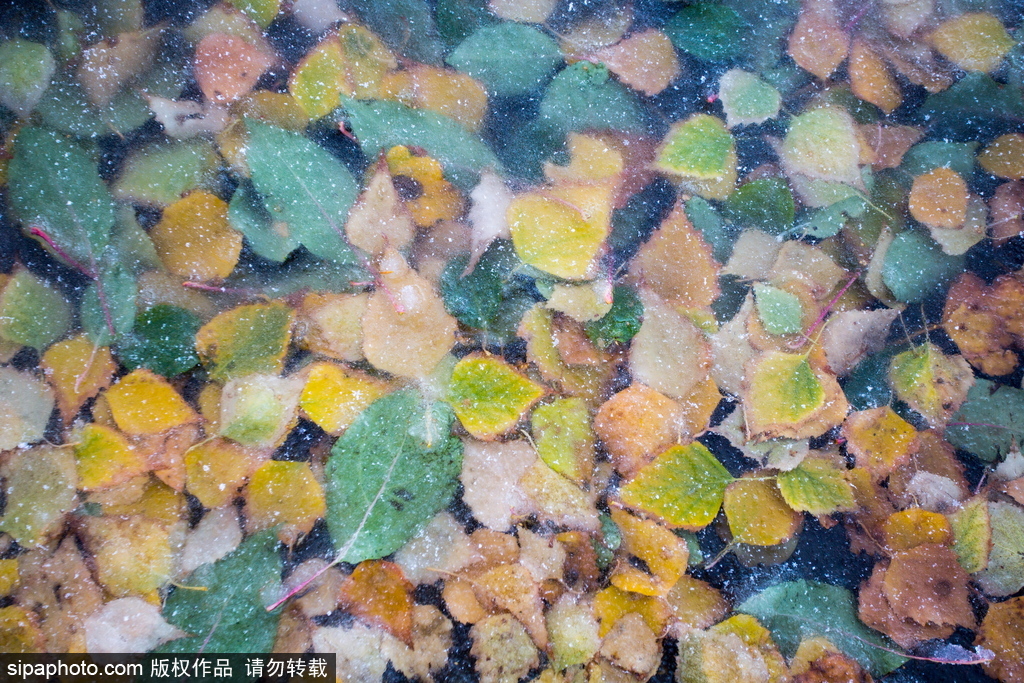 盤點俄羅斯鄂木斯克美景 意境朦朧似童話世界