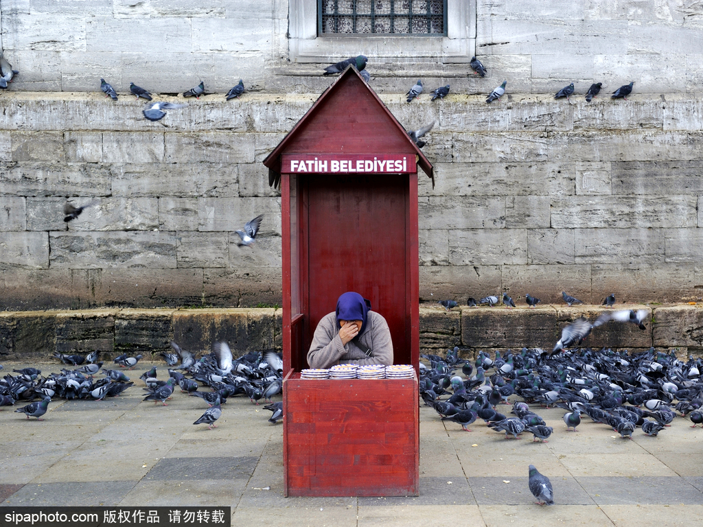 盤點土耳其之旅必去地 體驗原汁原味當地游