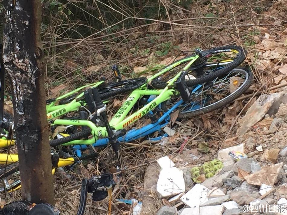 成都共享單車被燒毀 盤點(diǎn)N種被“玩壞”的共享單車