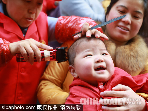 安徽合肥：二月二娃娃“剃龍頭”萌態百出（組圖）