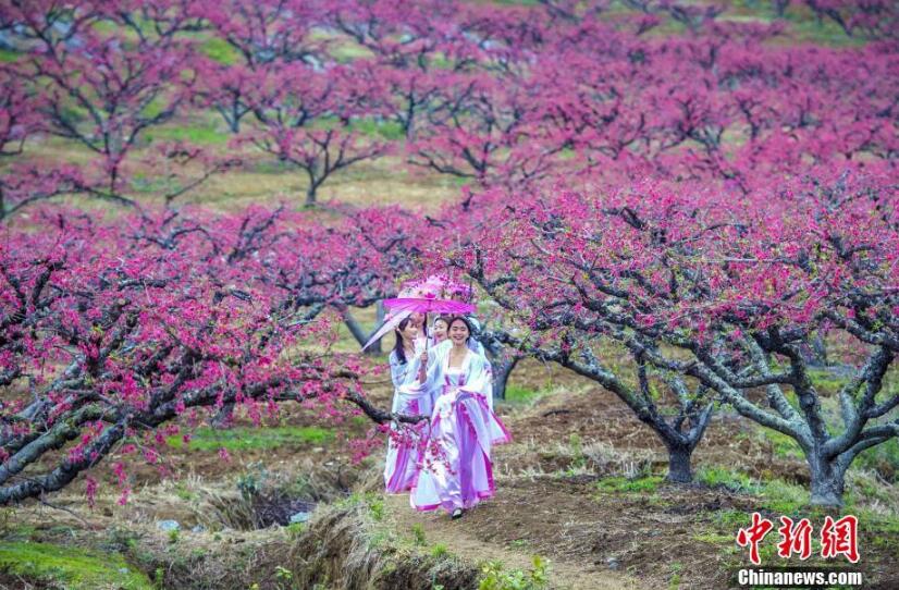 廣東大學生扮演古人穿越 呼吁重視古詩詞[組圖]