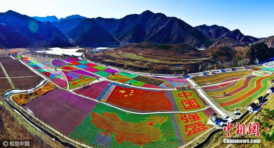 壯觀！北京密云100萬(wàn)只風(fēng)車拼出多彩畫卷