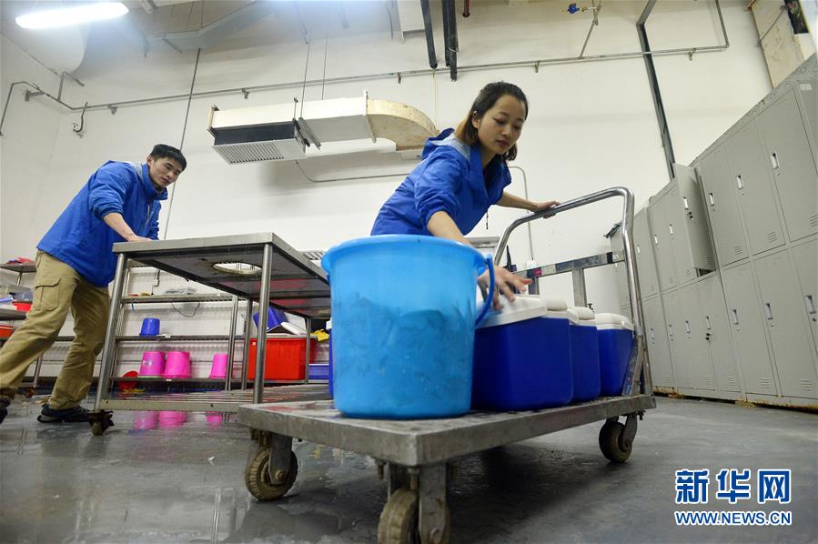 “海豚姑娘”的藍色追夢之旅