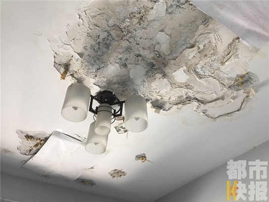 新房頂層八家住戶六家漏水 業(yè)主住進(jìn)“水簾洞”（圖）