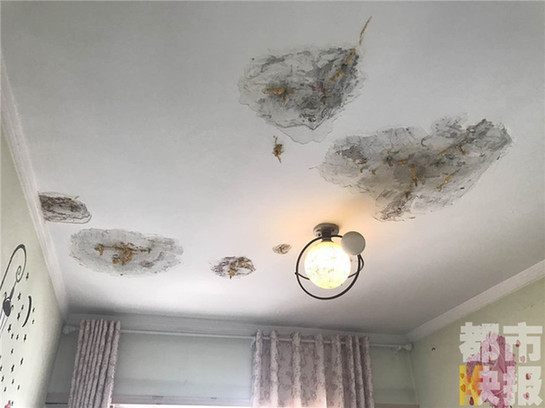 新房頂層八家住戶六家漏水 業主住進“水簾洞”（圖）