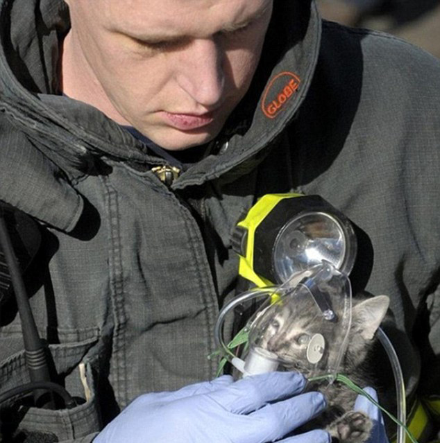 人間自有真情在！鏡頭記錄全球溫情瞬間（組圖）