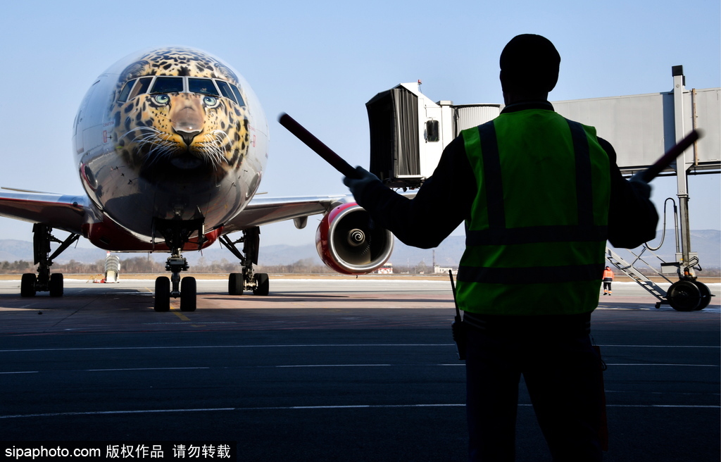 一頭豹子飛過來！俄羅斯飛機繪遠東豹圖案萌態(tài)十足