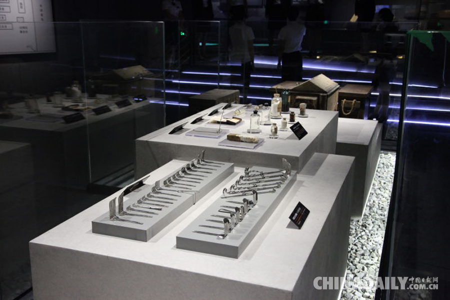 全國政協委員：支持侵華日軍“731”罪證檔案申報亞太地區《世界記憶名錄》