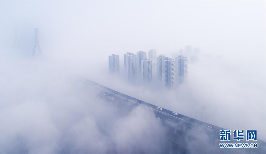人間仙境！武漢現(xiàn)大霧天氣 高架橋宛如天路(組圖)